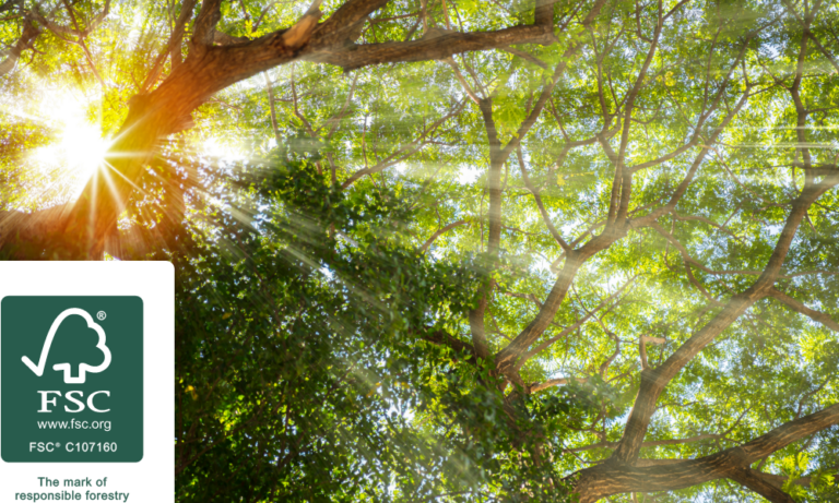 sun shining through forest branches with FSC logo